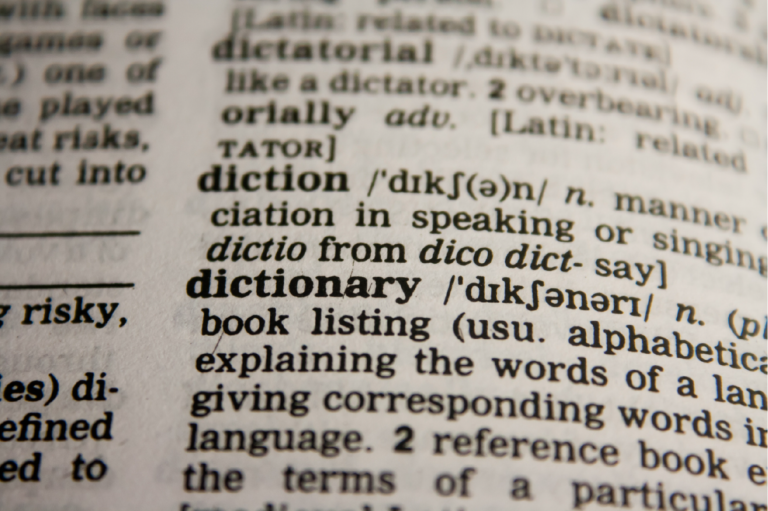BOOX’ta Sözlük Nasıl Kullanılır?